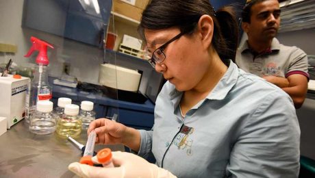 Çin Kültür Merkezi