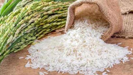 Çin Kültür Merkezi