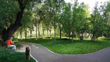 Çin Kültür Merkezi