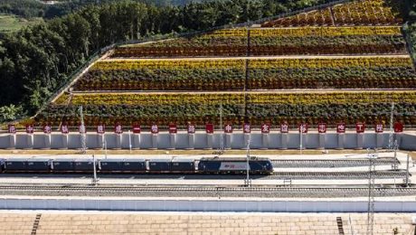 Çin Kültür Merkezi