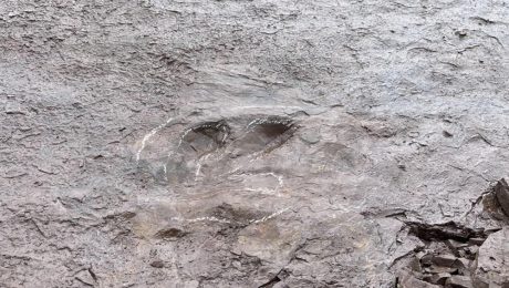 Çin Kültür Merkezi