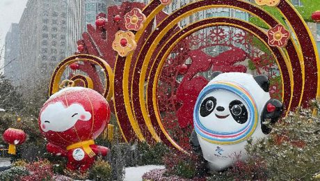 Çin Kültür Merkezi