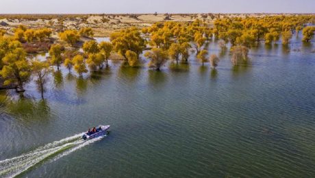 Çin Kültür Merkezi