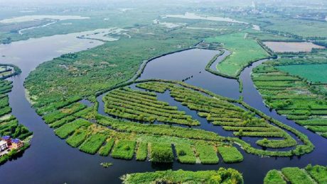 Çin Kültür Merkezi