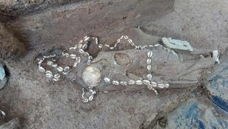 Çin Kültür Merkezi