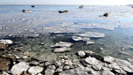 Çin Kültür Merkezi