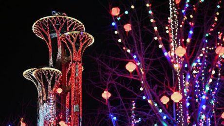 Çin Kültür Merkezi