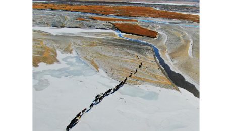 Çin Kültür Merkezi