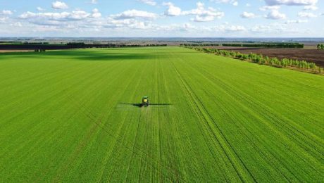 Çin Kültür Merkezi