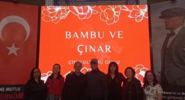 bambu ve çınar